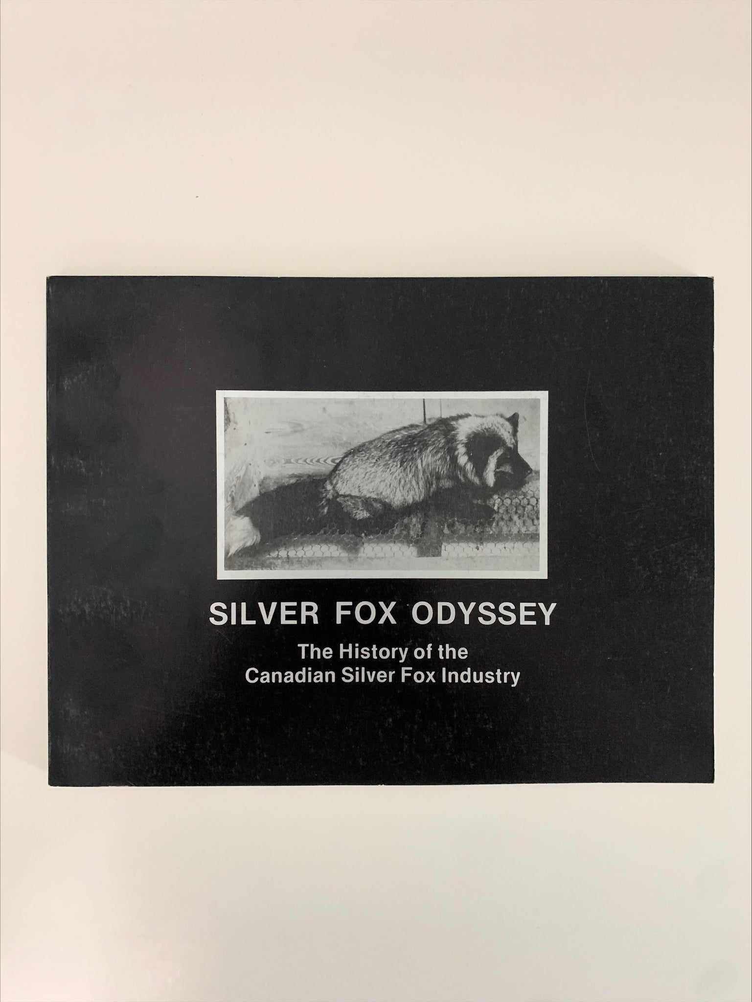 Silver Fox Odyssey